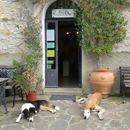 Agriturismo San Ottaviano 몬테로톤도 외부 사진