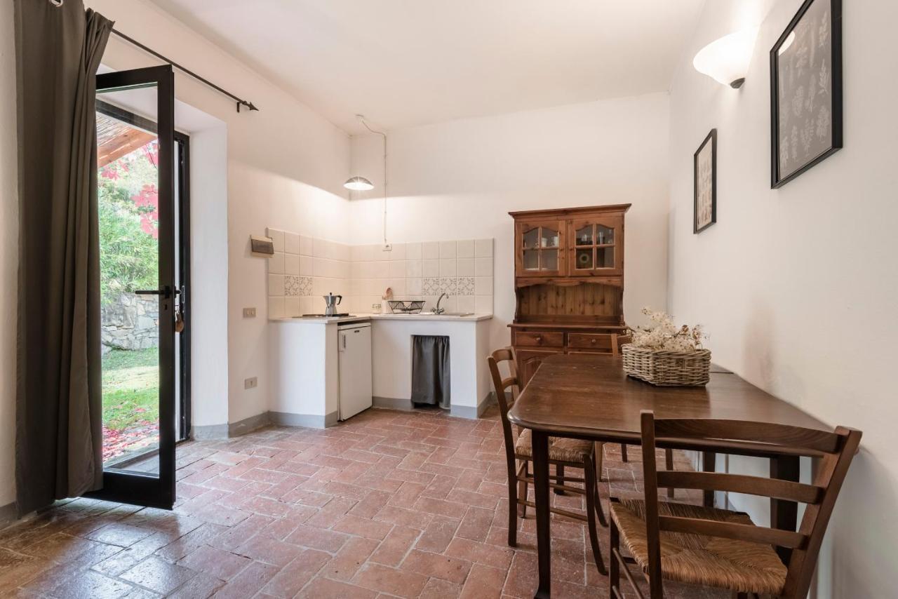 Agriturismo San Ottaviano 몬테로톤도 외부 사진