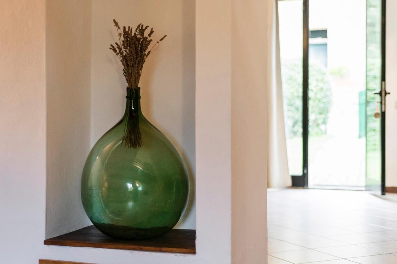 Agriturismo San Ottaviano 몬테로톤도 외부 사진