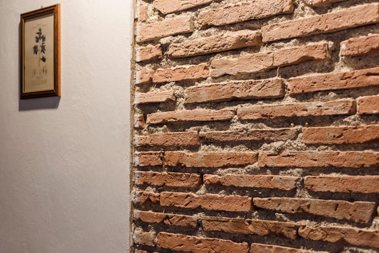 Agriturismo San Ottaviano 몬테로톤도 외부 사진