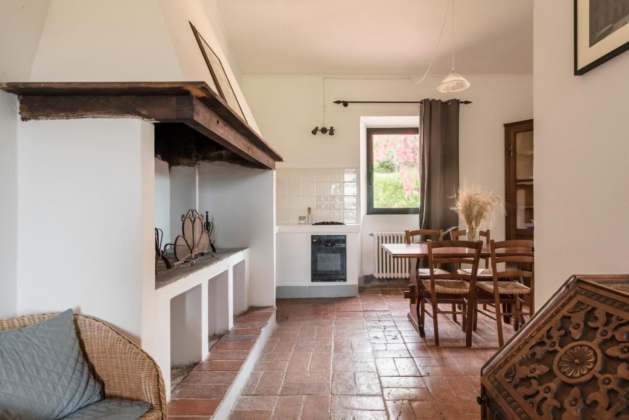 Agriturismo San Ottaviano 몬테로톤도 외부 사진