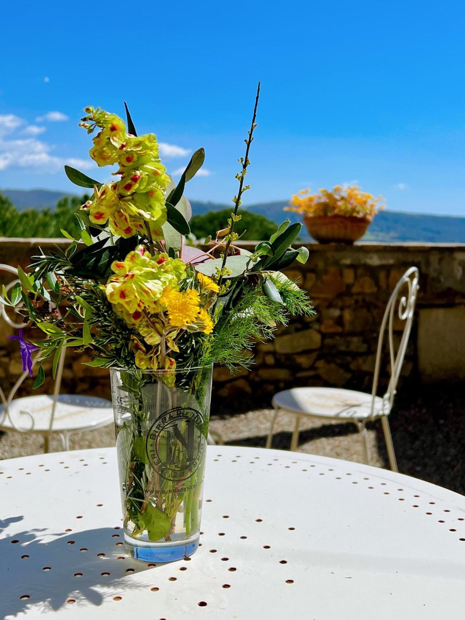 Agriturismo San Ottaviano 몬테로톤도 외부 사진
