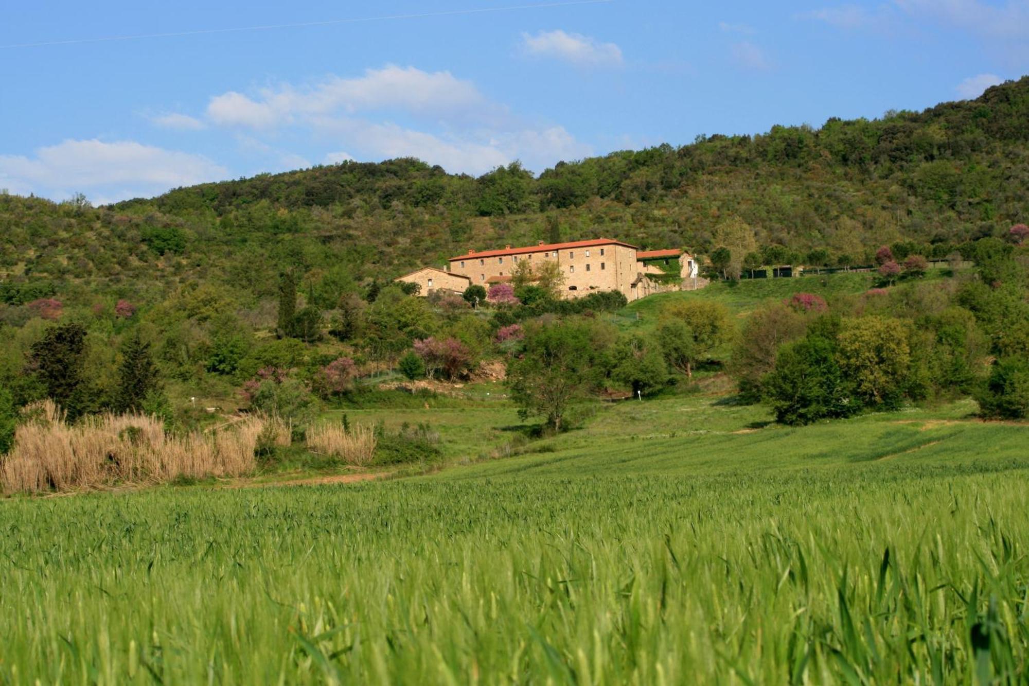 Agriturismo San Ottaviano 몬테로톤도 외부 사진